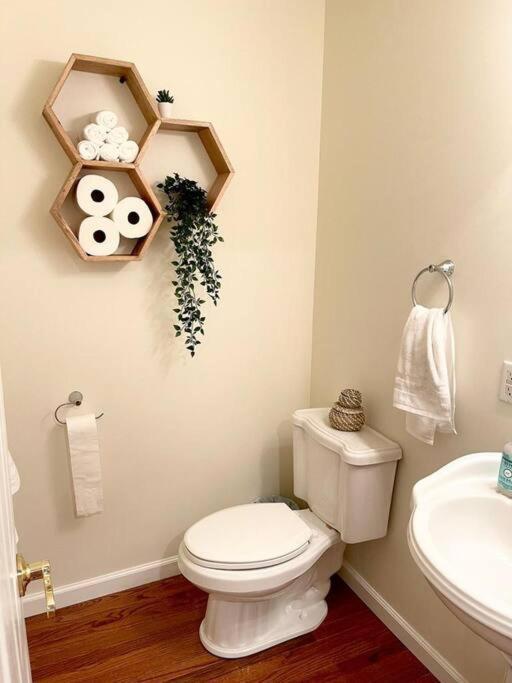Spacious Family Friendly Home Near Massanutten And National Park McGaheysville 外观 照片